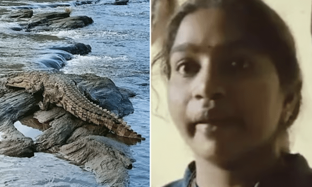 6 year old boy mauled to death by crocodiles after child's mother, Savitri Kumar, from Uttara Kannada, India, throws him into river.